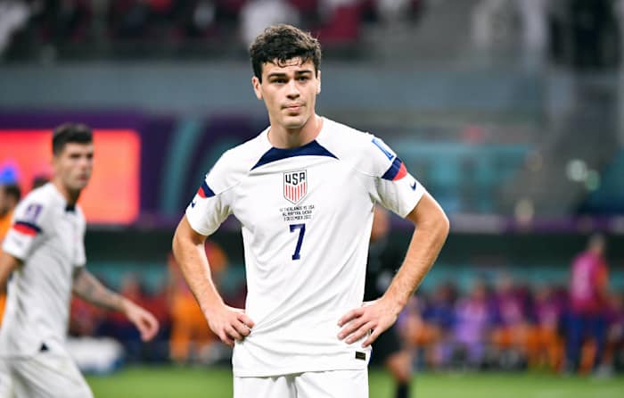 Giovanni Reyna World Cup